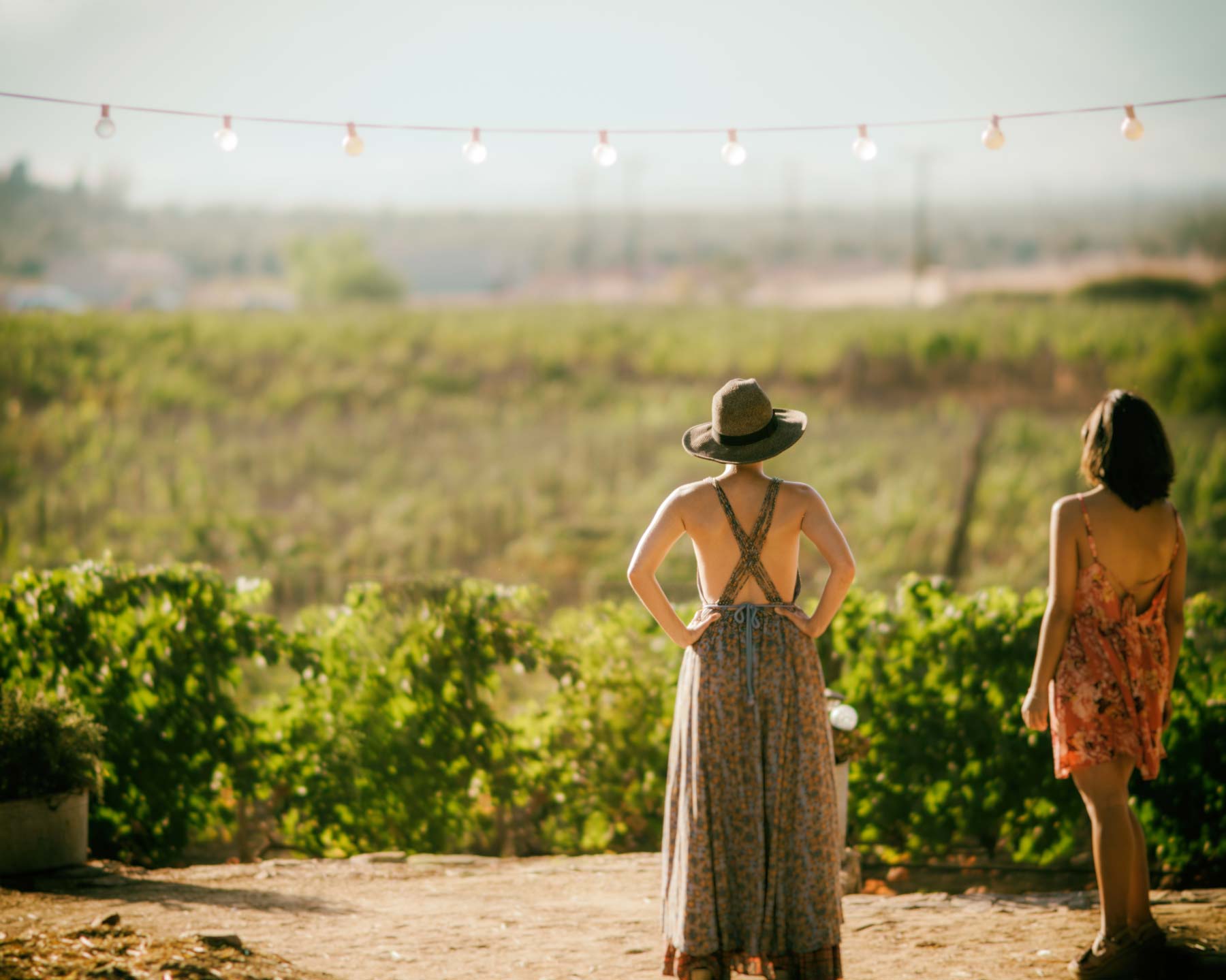 Ladies Looing into Vineyards